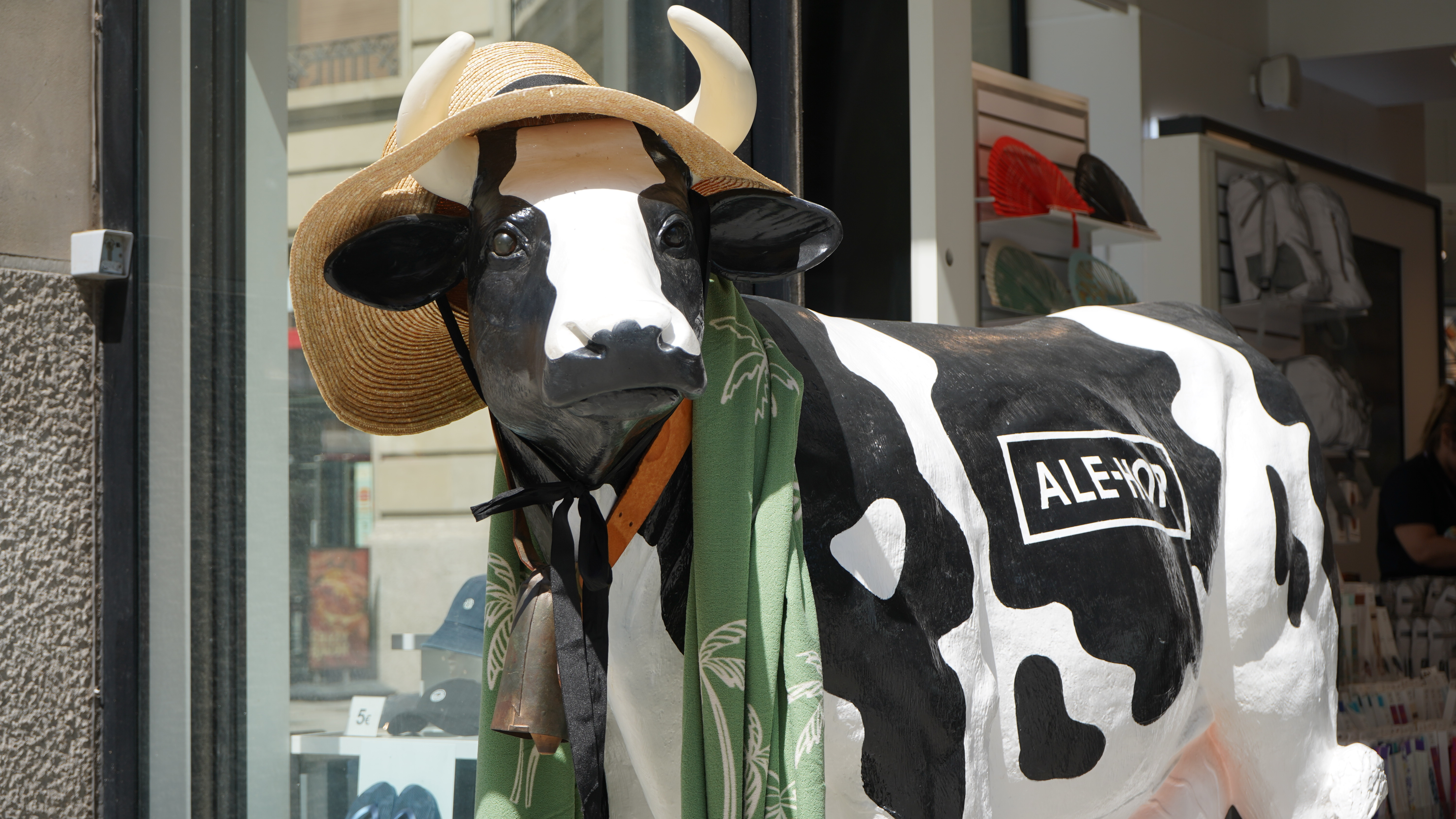  a cow wearing a hat